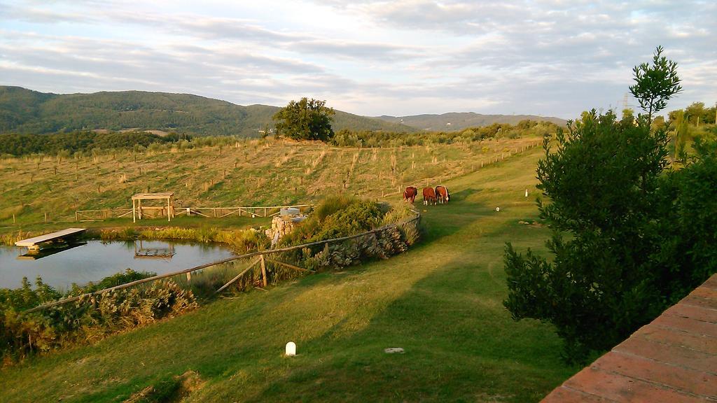 Fattoria San Paolo Agriturismo Montecastelli Pisano Екстериор снимка