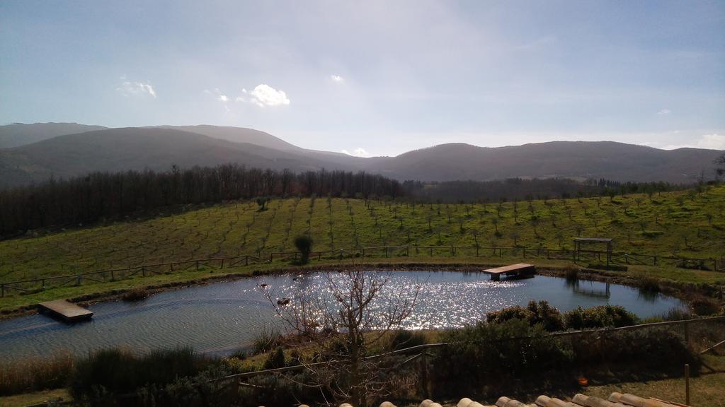 Fattoria San Paolo Agriturismo Montecastelli Pisano Екстериор снимка